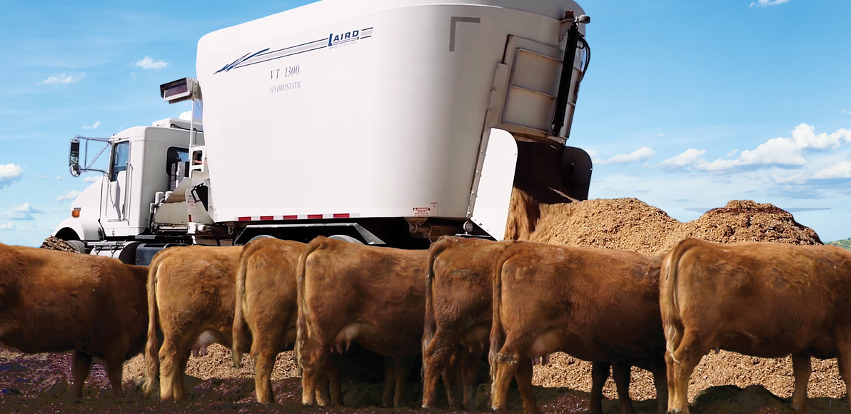 Cattle Feeding Equipment